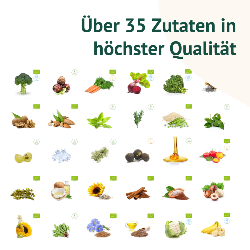 Bioactive Snacks - ABO Dreierpackung (36 Stück)