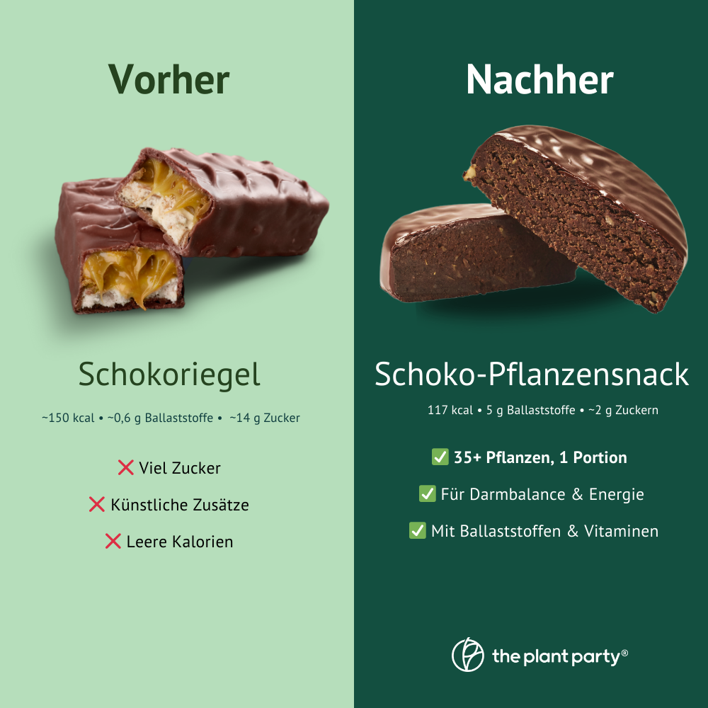 the plant party®: 35+ pflanzliche Lebensmittel in dunkler Schokolade - (12 Stück)