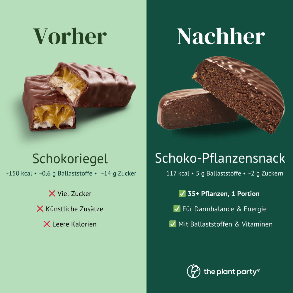 the plant party®: 35+ pflanzliche Lebensmittel in dunkler Schokolade - (12 Stück)