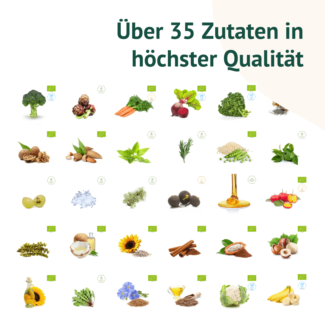 the plant party®: Bioactive Snacks - Doppelpackung (24 Stück)